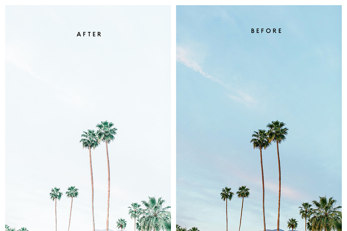 Natural Lightroom Mobile Preset, an Action Add-On by Lux Light (Photo 20 of 28)