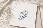 Handdrawn Flowers - Botanical Design, an Object Graphic by Christine Krahl (Thumbnail 5 of 5)