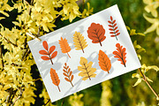 29 Leaf Leaves Natural Plant Element, a Decorative Illustration by jongcreative (Thumbnail 5 of 6)