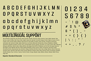 Kepater - Display Sans Family, a Font by Differentialtype (Thumbnail 4 of 10)