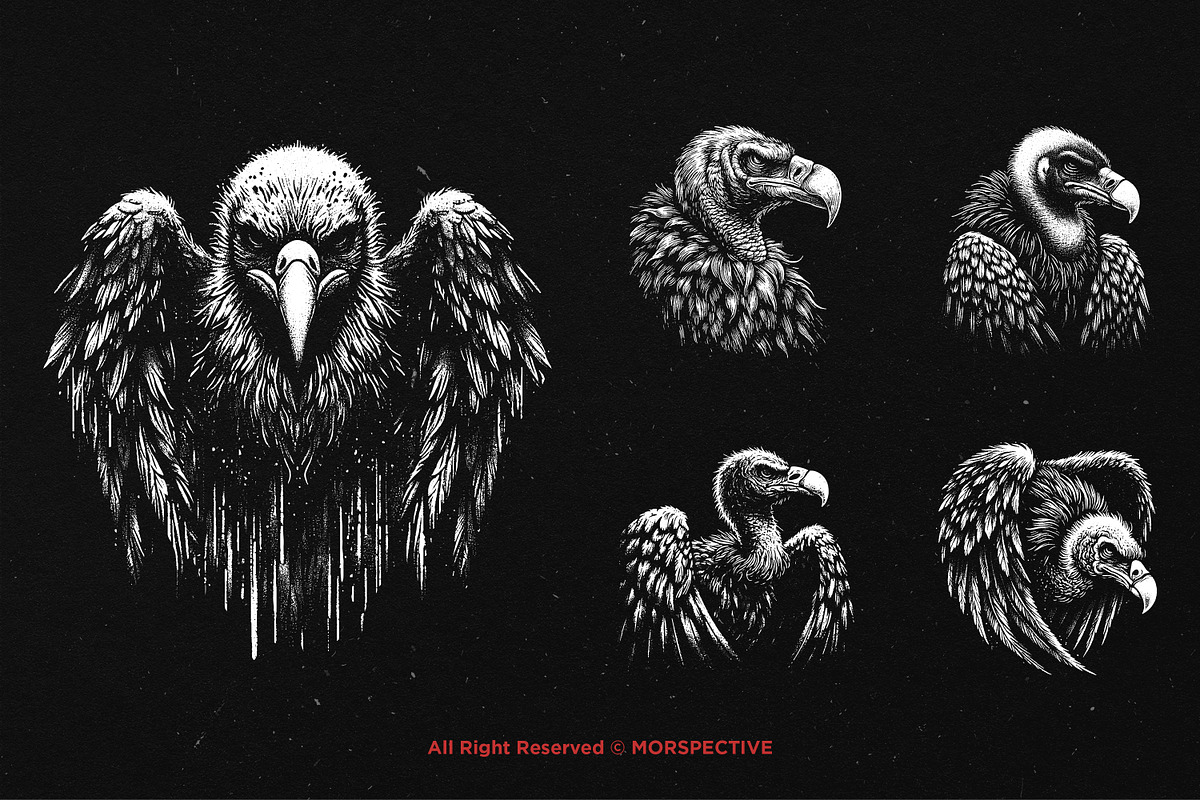 10 Bundle Dark Art Condor Bird, an Illustration by Morspective (Photo 3 of 7)