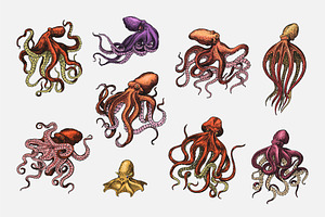 Sea Octopus Set. Creature Drawing.