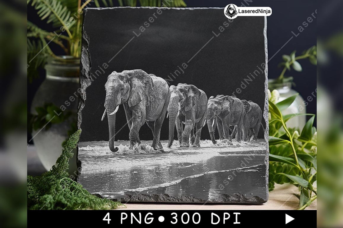Elephants Group Walking Herd Beach, a Background Graphic by LaseredNinja (Photo 5 of 7)