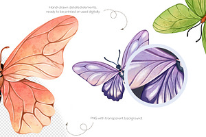 Butterfly Digital Clipart