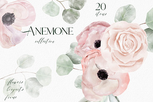 Anemone Watercolor Texture Clipart