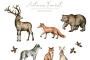 Autumn Forest. Watercolor set, an Animal Illustration by Kreker Kate (Thumbnail 3 of 9)