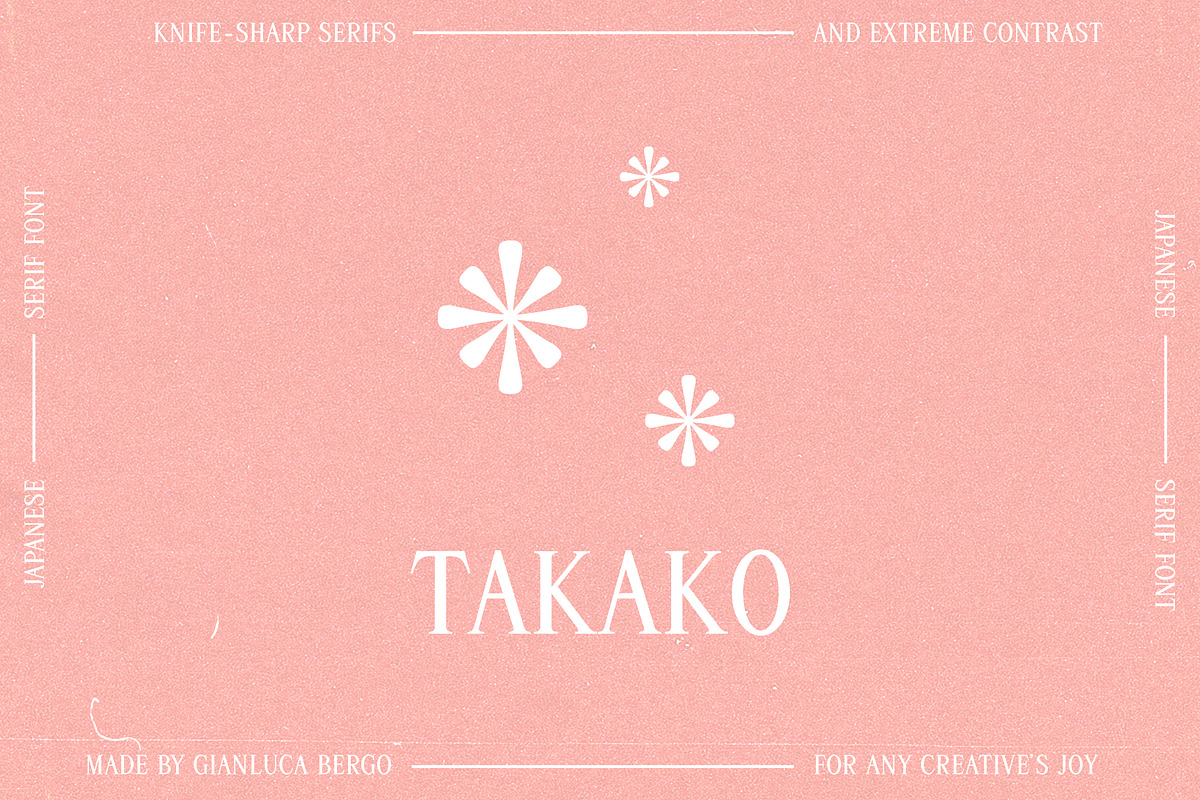 Takako serif, a Serif Font by Gianluca_Bergo (Photo 2 of 13)