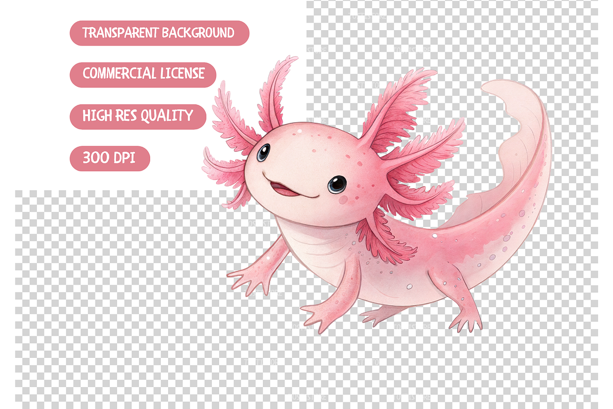 Watercolor Axolotl Clipart Bundle, an Animal Illustration by TatiMockup (Photo 6 of 6)