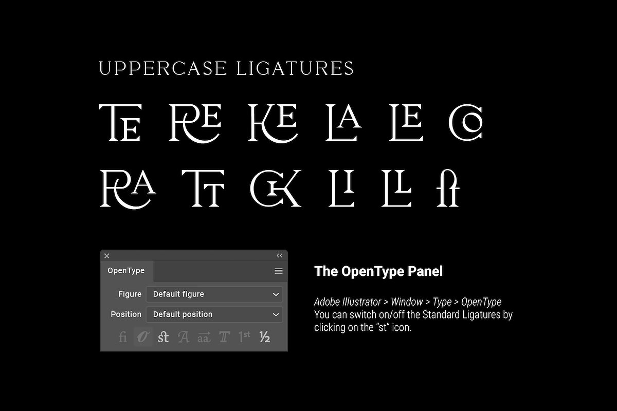 Pervinca Family, a Serif Font by Hederae Type Foundry (Photo 13 of 18)