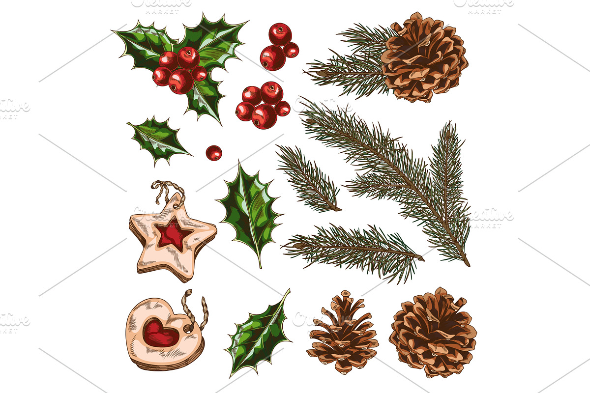 Winter set with pine branches, cones, an Object Illustration by Sabelskaya