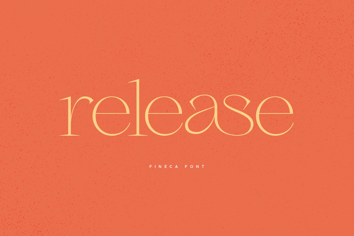 Fineca, a Serif Font by vuuuds (Photo 7 of 10)