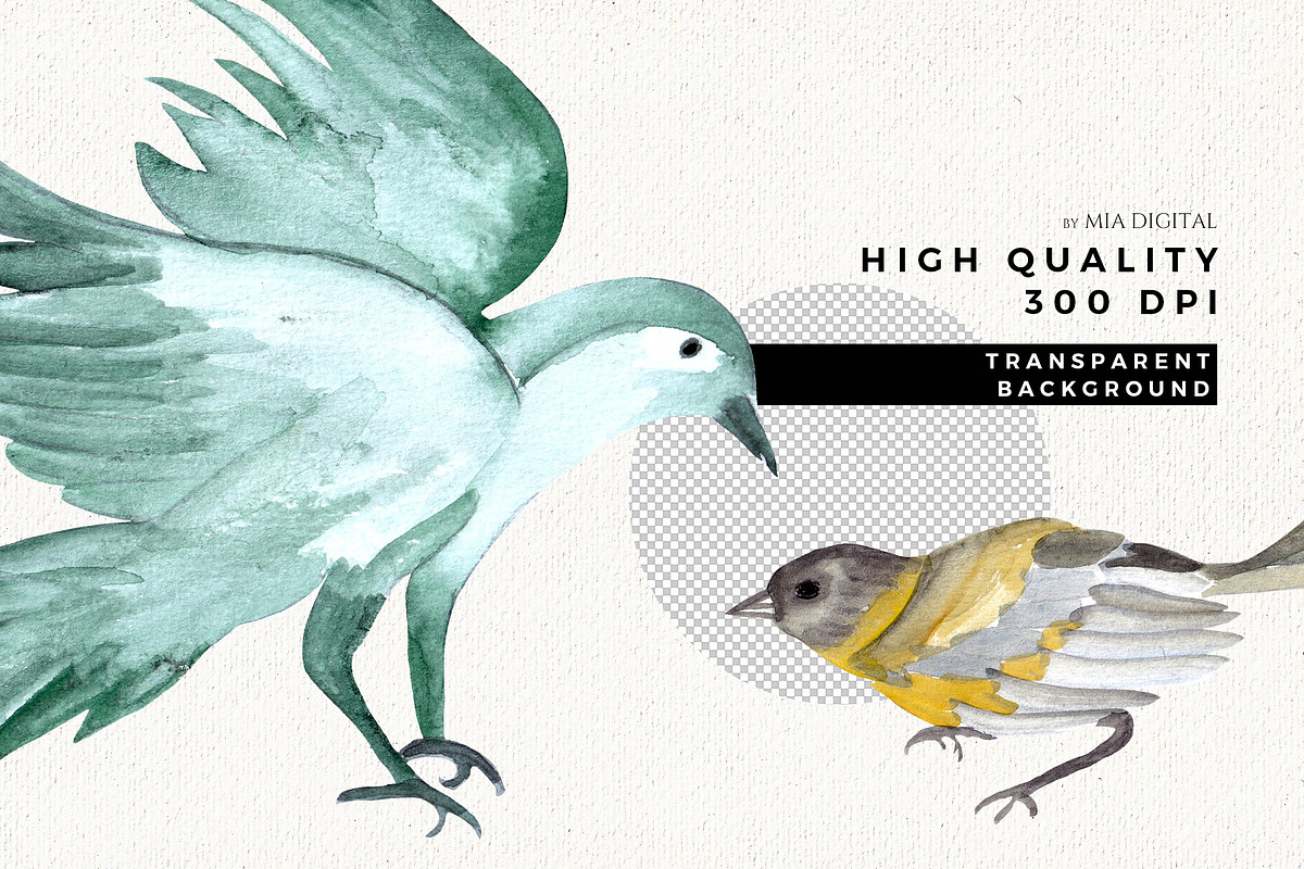 Watercolor Birds Clipart Set, an Animal Illustration by Mia Digital (Photo 5 of 5)