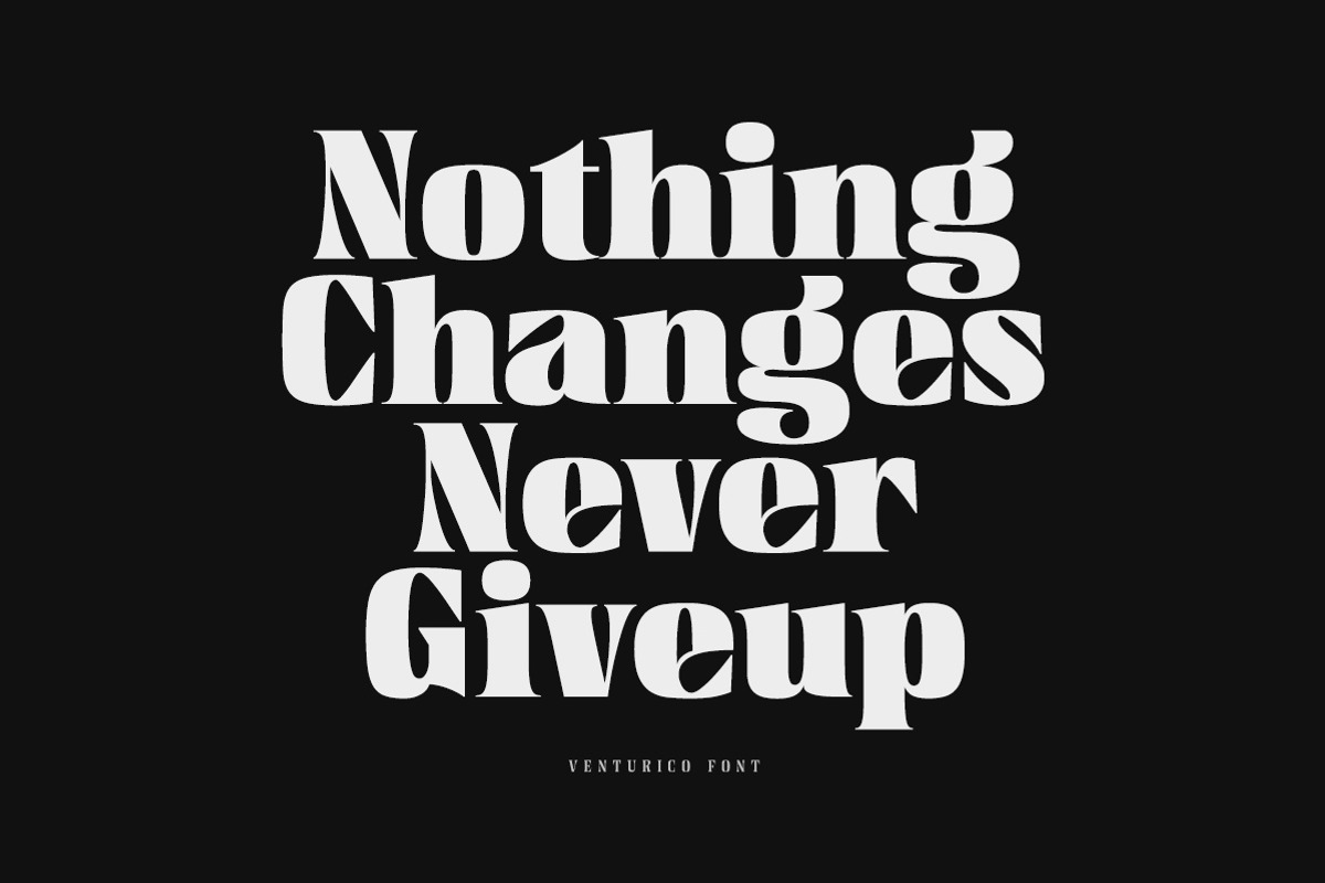 Venturico - Variable Font, a Serif Font by Typeskets (Photo 5 of 11)