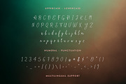 Tegriel Script, a Script Font by Solidtype (Thumbnail 6 of 6)