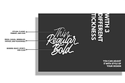 Rottordam - Regular, Thin, and Bold, a Script Font by Inspiratype (Thumbnail 8 of 14)