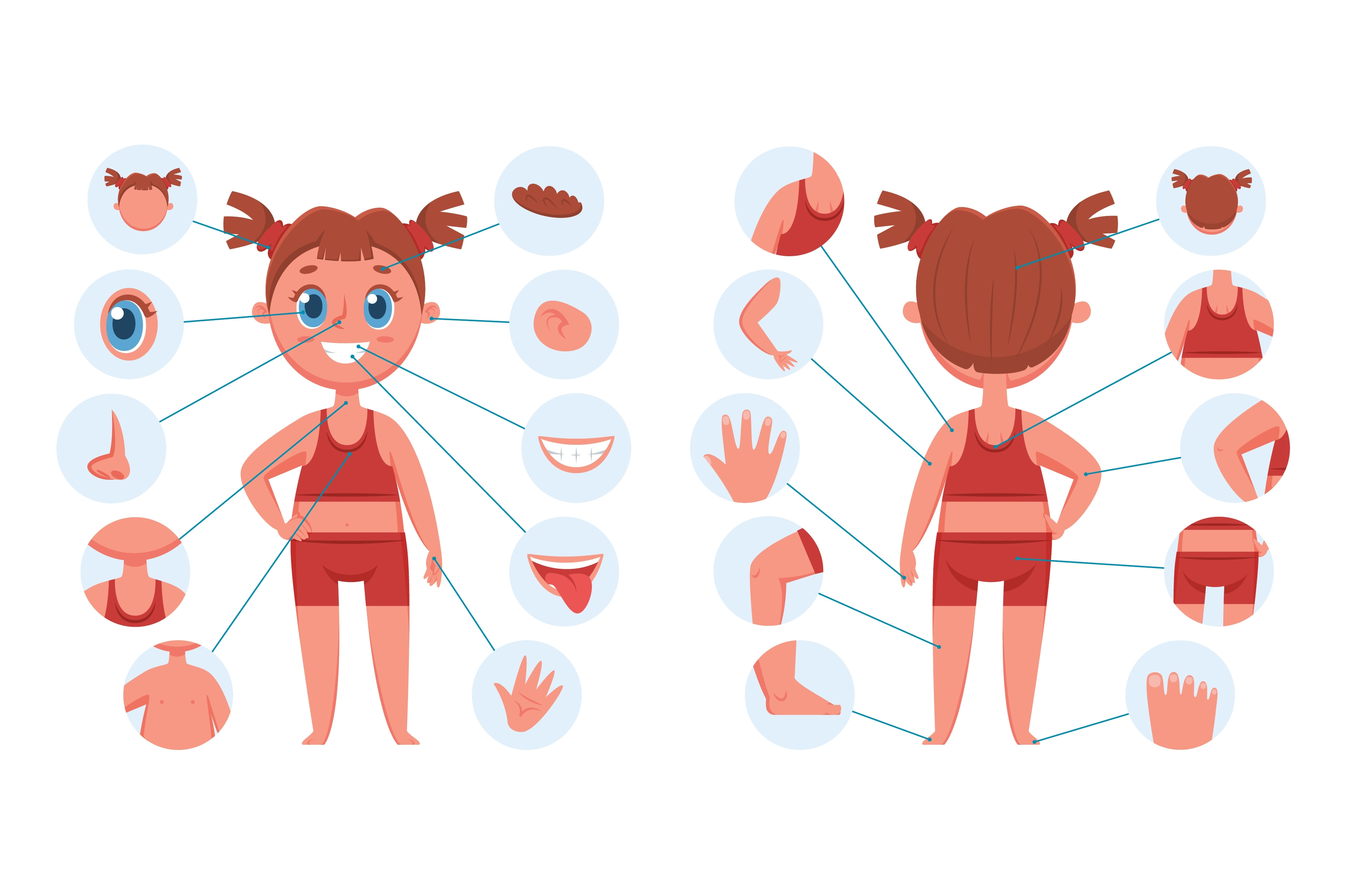 Girl body parts. Learning face parts, an Object Graphic by Frogella