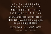 Sencha Elegant Serif Font, a Serif Font by Graphicxell (Thumbnail 8 of 8)
