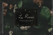 La Rosee Botanical Backgrounds, a Wallpaper Graphic by nadispasibenko (Thumbnail 1 of 9)