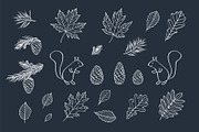 Hand drawn leaves of different trees, a Decorative Illustration by Tkoko vectors & patterns (Thumbnail 7 of 14)