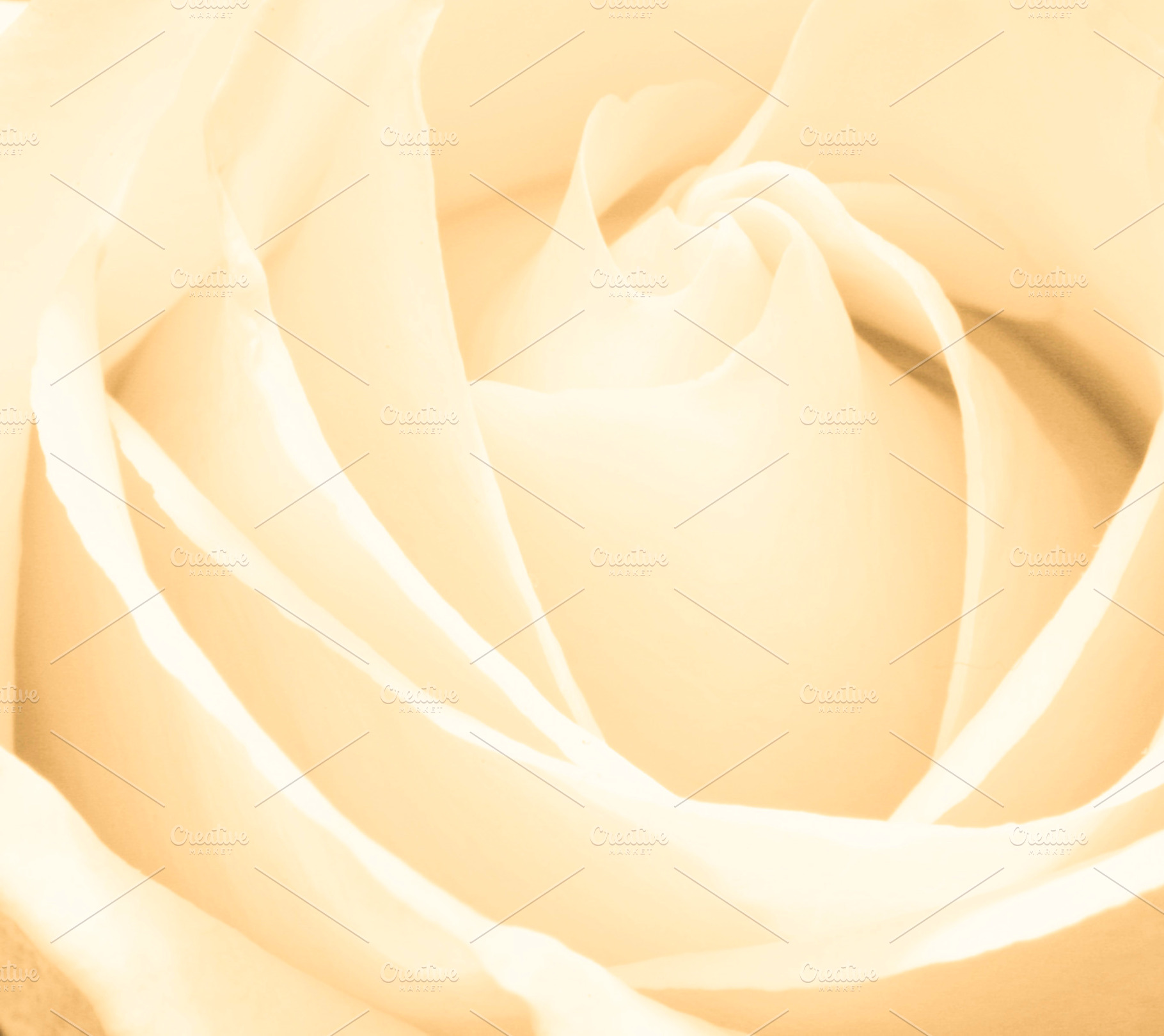 Smooth And Creamy