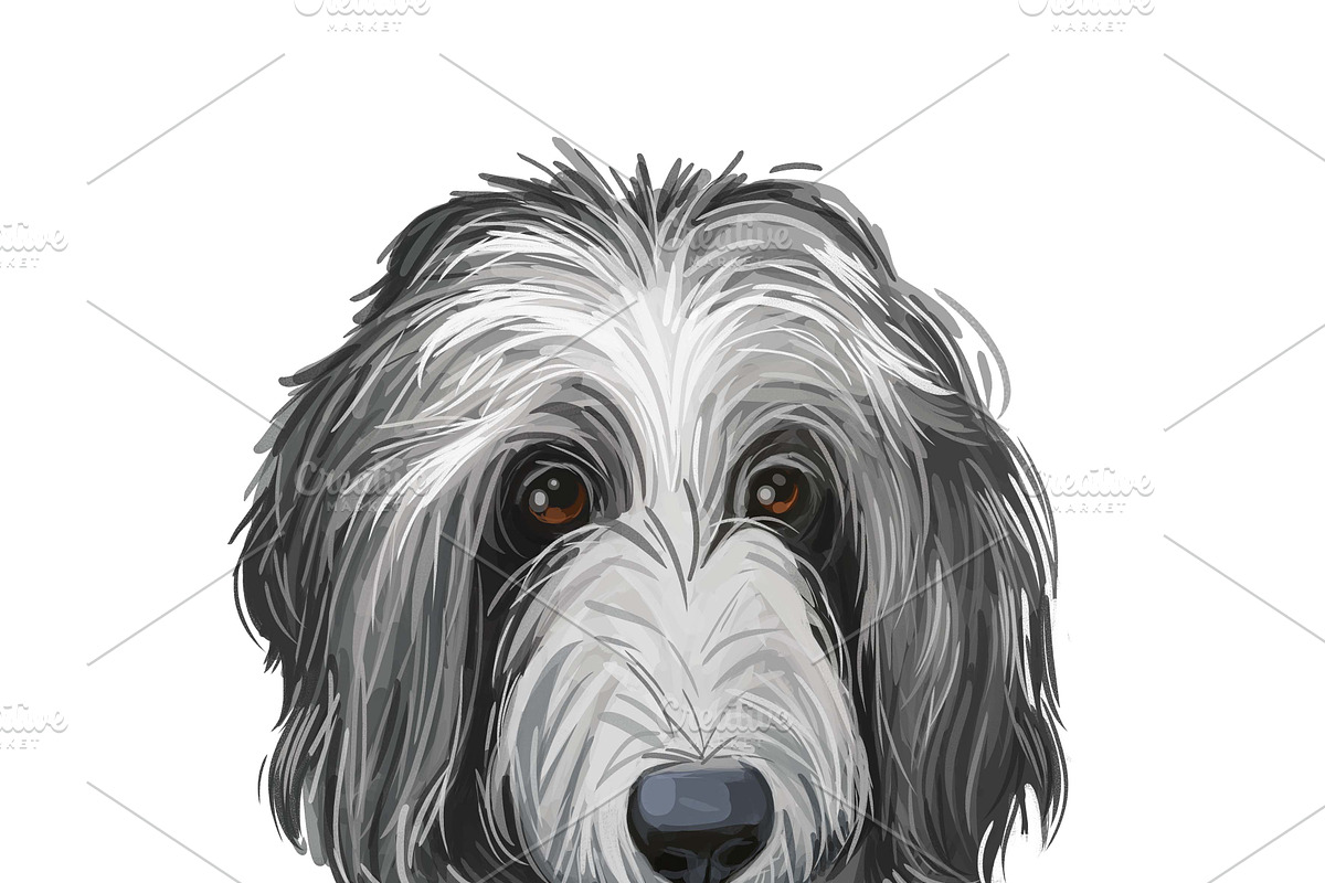 Dogs Cross Breeds 56 Animals Bundle, an Animal Illustration by Dneprstock (Photo 39 of 55)