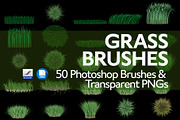 Grass Brushes for PS and PNGs, a Brush Add-On by Creative Graphics (Thumbnail 1 of 6)