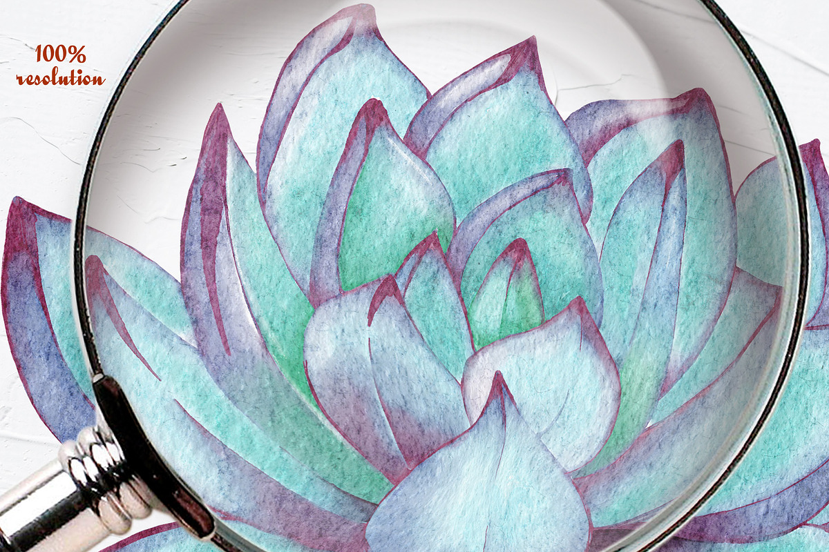 Succulents Watercolor clipart, an Illustration by BarvArt (Photo 12 of 13)