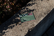 Raw Branding Mockups / Batch 00002, an Advertising Mockup by Mockup Cloud (Thumbnail 24 of 29)