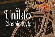 Aikonig | Modern Serif Font, a Serif Font by Denustudios (Thumbnail 5 of 15)