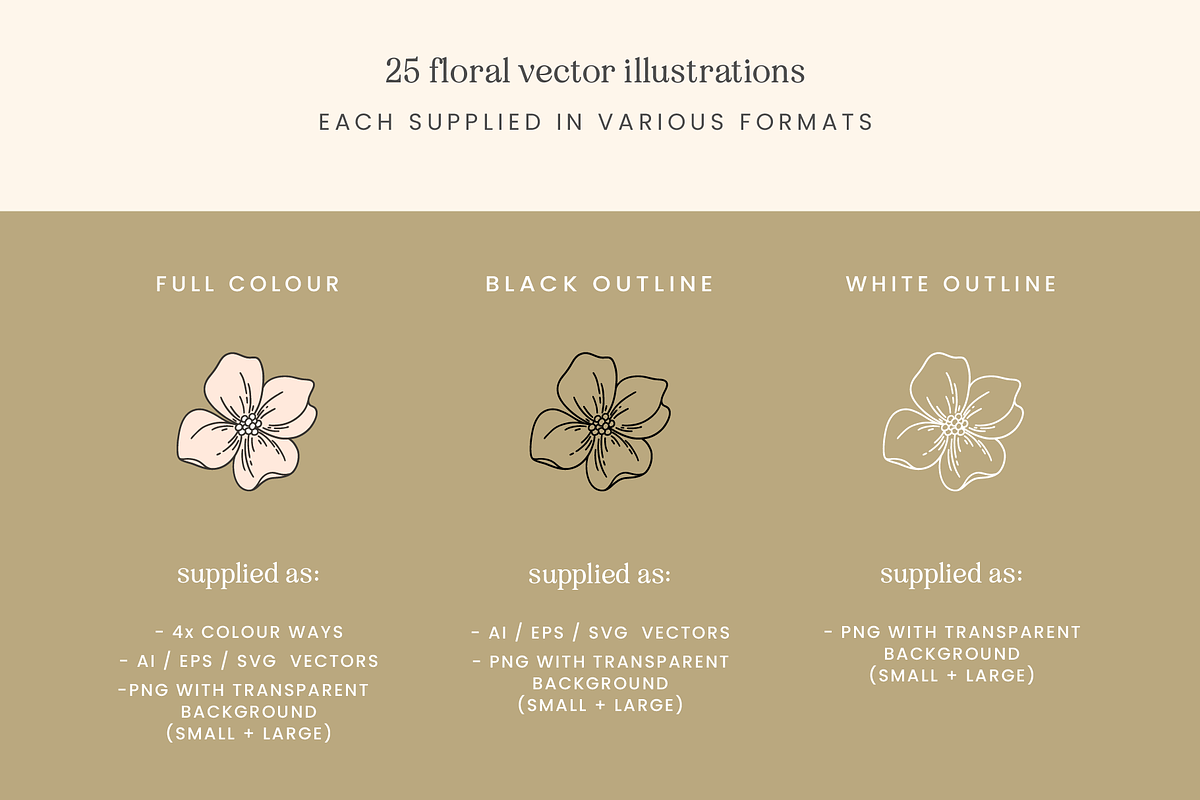 Garden Floral Vector Illustrations, a Decorative Illustration by Emma Webb Studio (Photo 3 of 9)