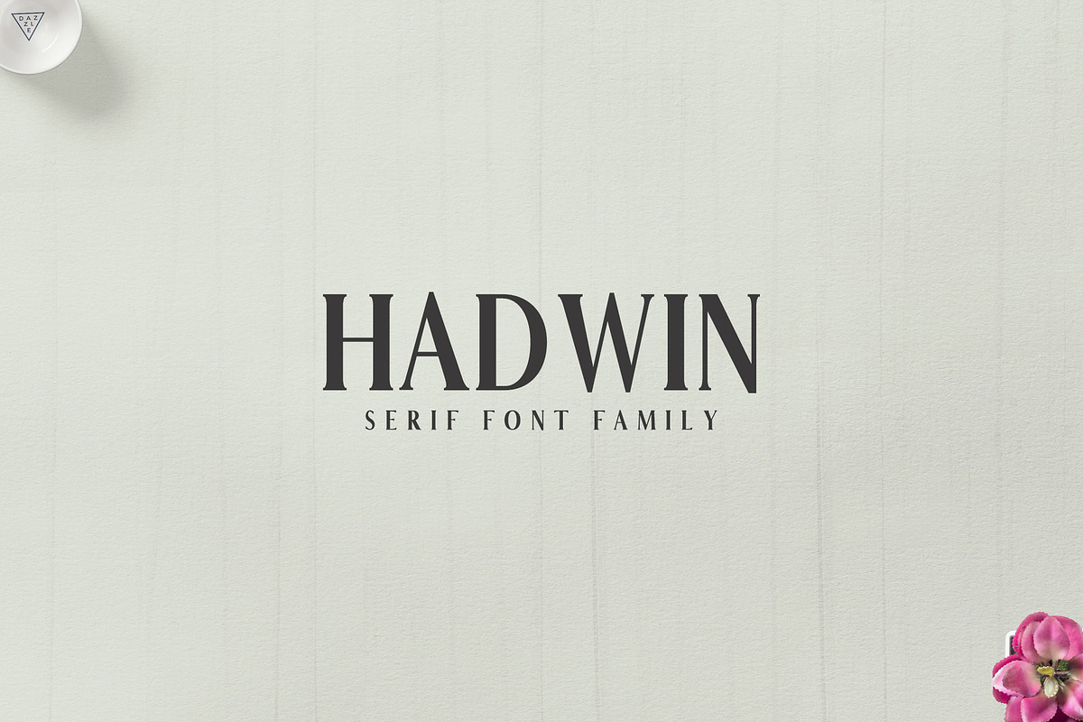 Hadwin Serif Font Family Pack
