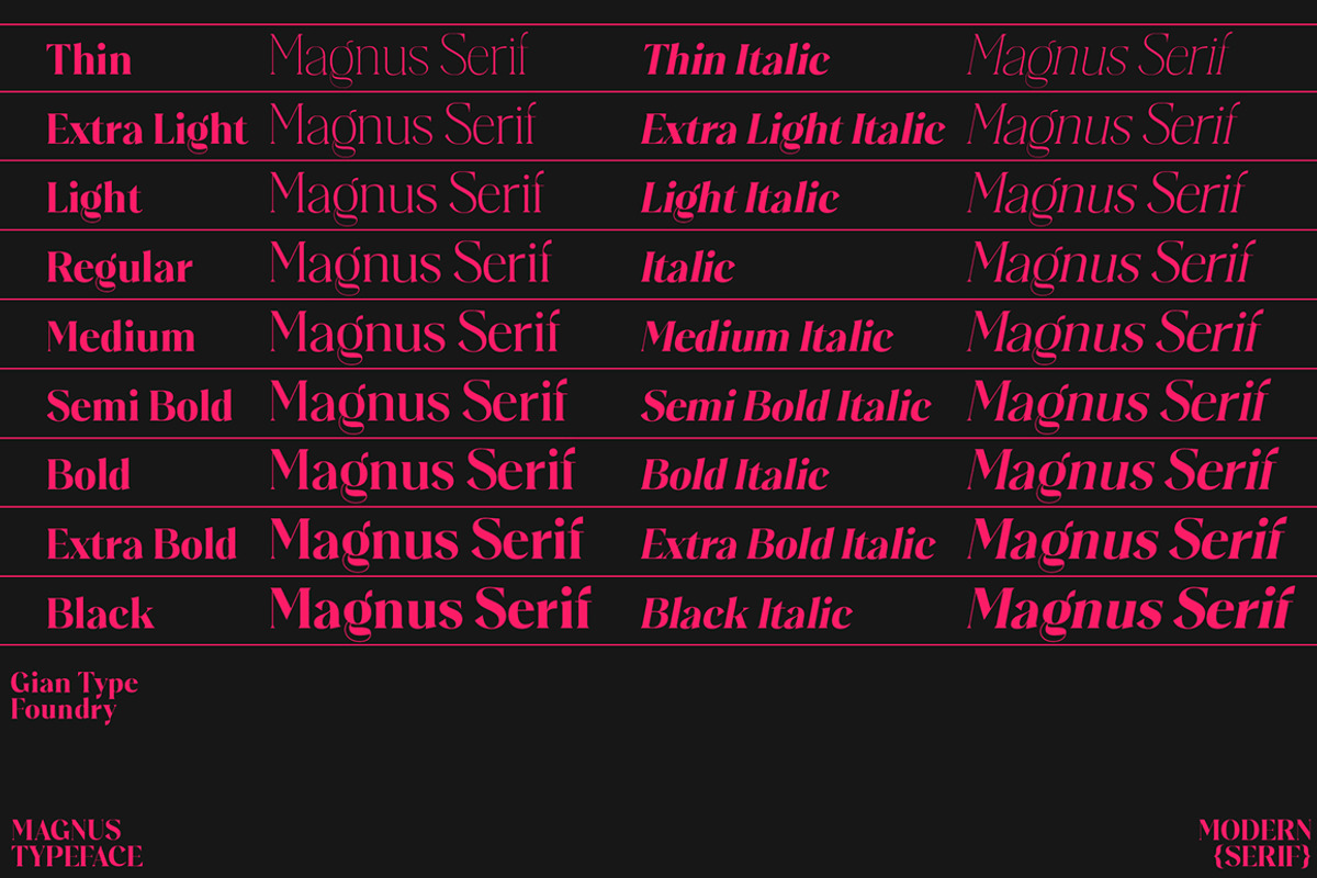 Plakent, a Serif Font by studiobasic (Photo 14 of 15)