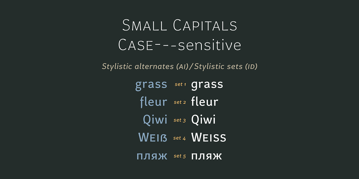 Certa Sans, a Sans Serif Font by Glen Jan (Photo 5 of 10)