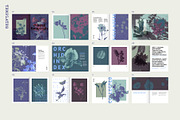 Printed Botanical Graphics, an Object Graphic by Neatly Made Studio (Thumbnail 16 of 17)