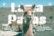 Casile Unfocus, a Sans Serif Font by Craft Supply Co. (Thumbnail 2 of 8)