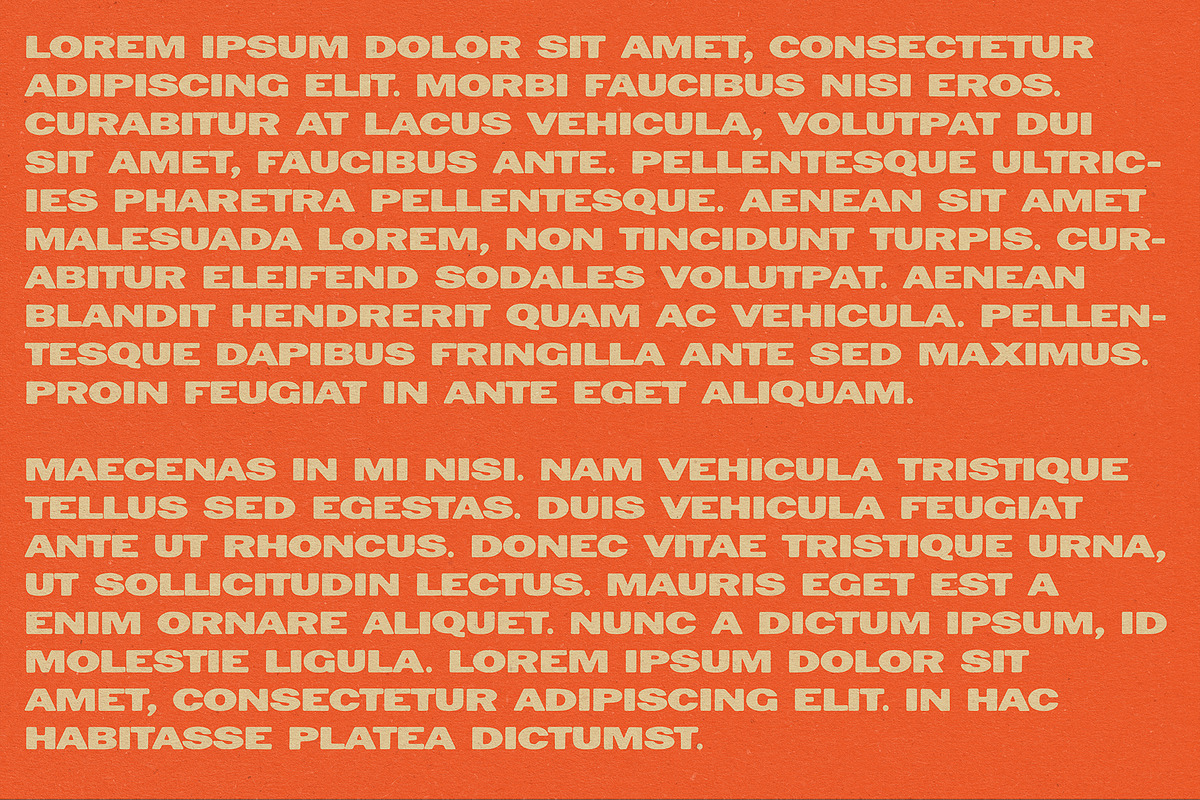 Pimento Typeface, a Sans Serif Font by Bone Idle Goods (Photo 3 of 3)