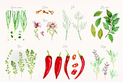 Culinary Herbs. Watercolor Set, a Food Illustration by Tata Pilip (Thumbnail 14 of 14)