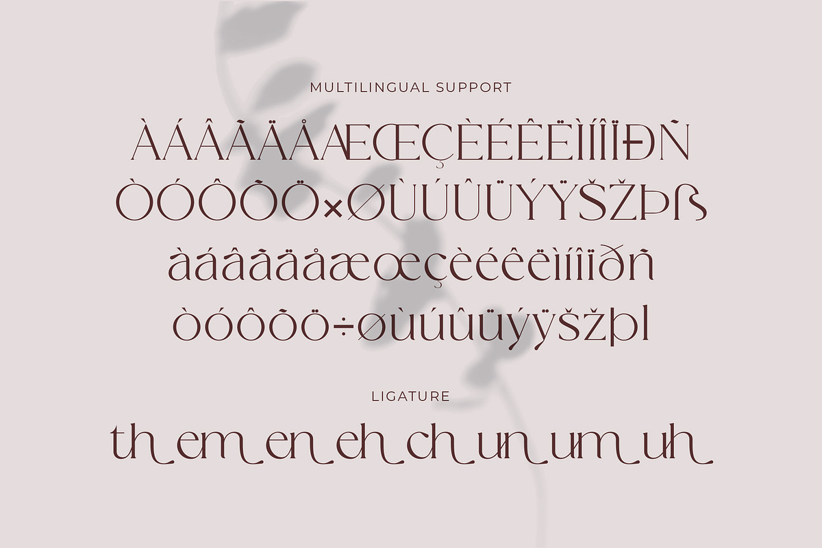 Rahena - New Modern Serif Font, a Serif Font by Muflieart (Photo 9 of 10)