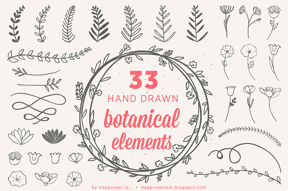 33 Hand Drawn Botanical Elements preview 3