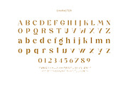 Ralika Ligature Serif Typeface, a Serif Font by yaqublekker (Thumbnail 9 of 10)
