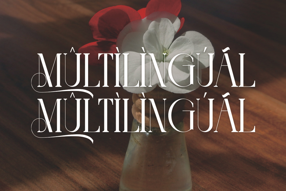 Wiliana, a Serif Font by Kenrichi (Photo 2 of 10)