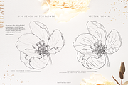 Wildflowers-Pencil sketch collection, a Decorative Illustration by Pamyatka Shop (Thumbnail 5 of 13)
