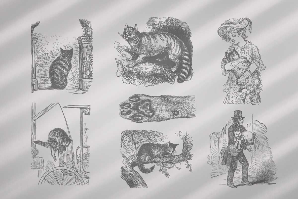 Cats Vector Set, an Illustration by Retro Machine (Photo 18 of 21)