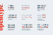 Dialecta Display, a Serif Font by Craceltype (Thumbnail 9 of 9)