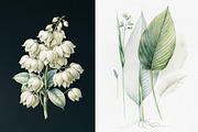 Tropical rainforest clip art set, a Seasonal Illustration by FleurArt (Thumbnail 9 of 12)