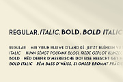 Fonseca ~ Regular & Bold, a Sans Serif Font by Nasir Udin (Thumbnail 4 of 12)