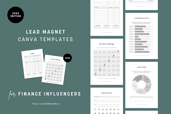 Finance Influencer | Canva Templates preview 3