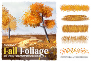 Autumn Fall Foliage Brushes, a Brush Add-On by Mohamed Saber (Thumbnail 1 of 6)