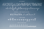 Snallie Soul, a Script Font by Quothron (Thumbnail 5 of 7)