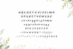 Josephine - Classy Luxury Script